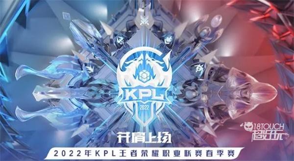 履行审查与